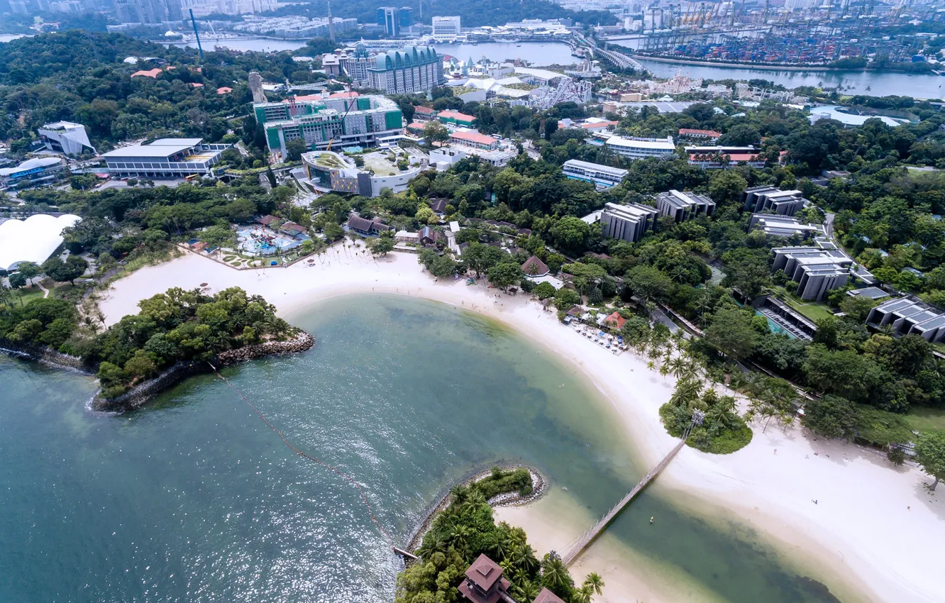 Фото обои деревья, мост, город, побережье, здания, высота, дома, Сингапур
