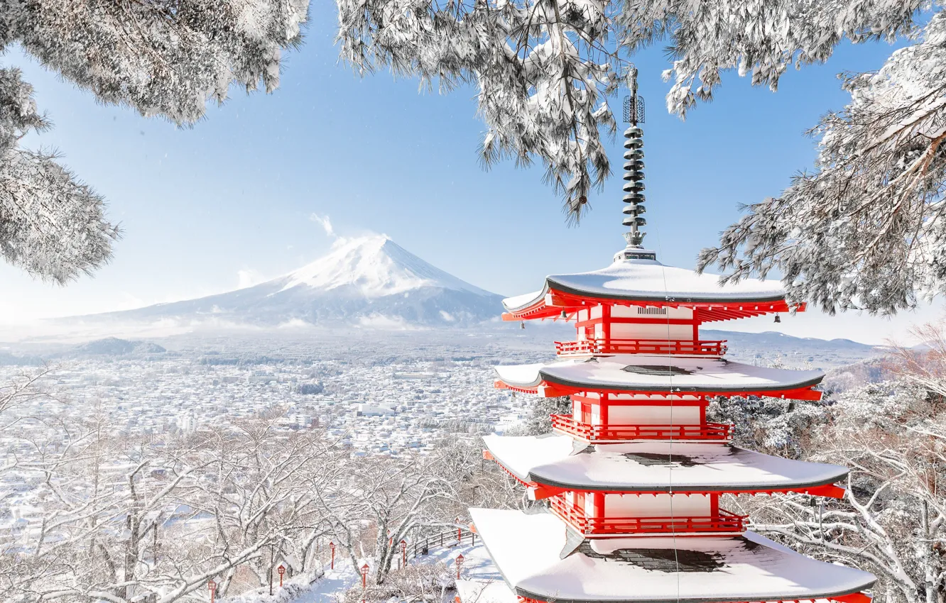 Фото обои зима, снег, деревья, ветки, гора, вулкан, Япония, Фудзи