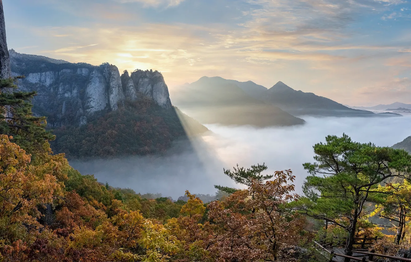 Фото обои осень, деревья, горы, South Korea, Южная Корея, Восточно-Корейские горы, Juwangsan National Park, Национальный Парк Джувангсан