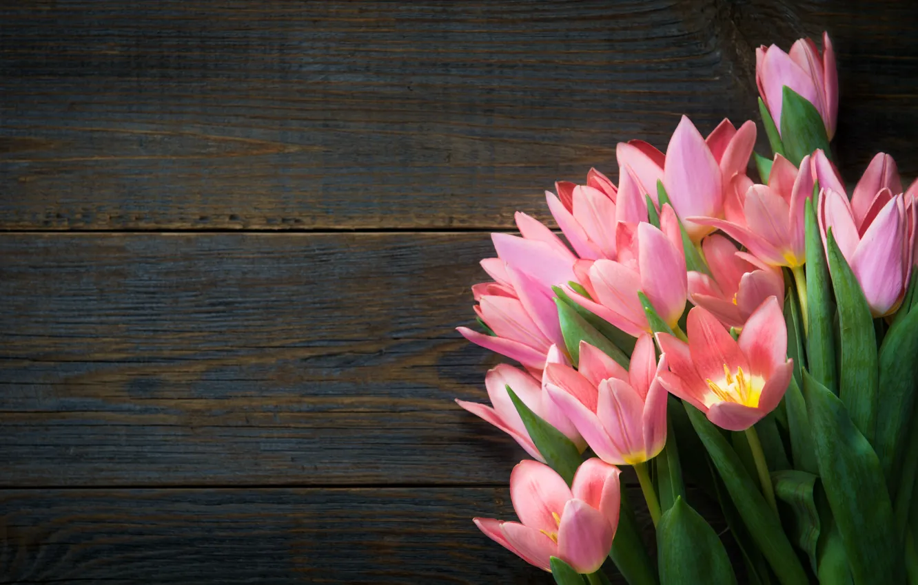 Фото обои цветы, букет, весна, тюльпаны