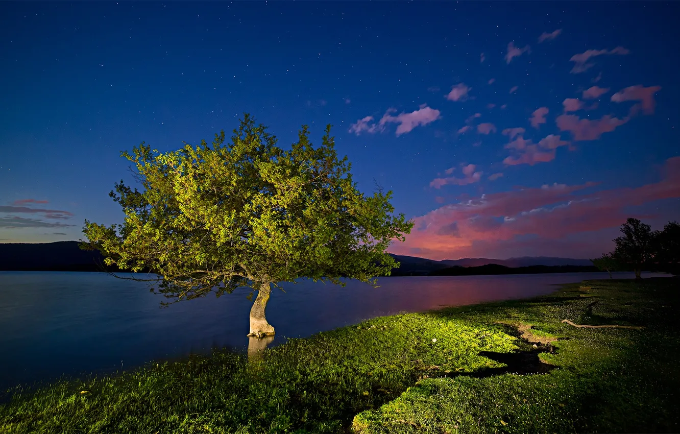 Фото обои свет, горы, ночь, озеро, дерево