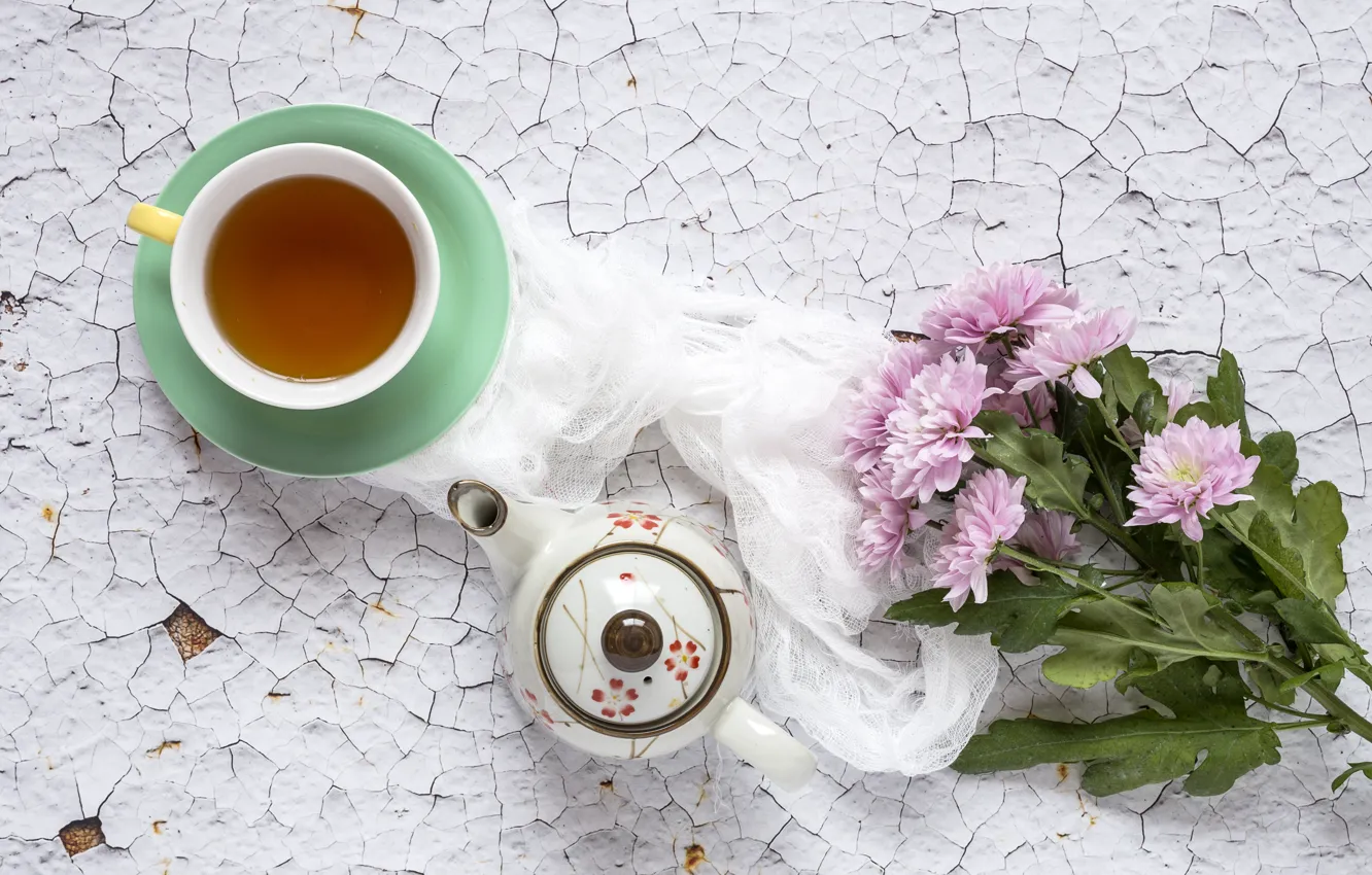 Фото обои цветы, фон, розовые, хризантемы, wood, pink, flowers, cup