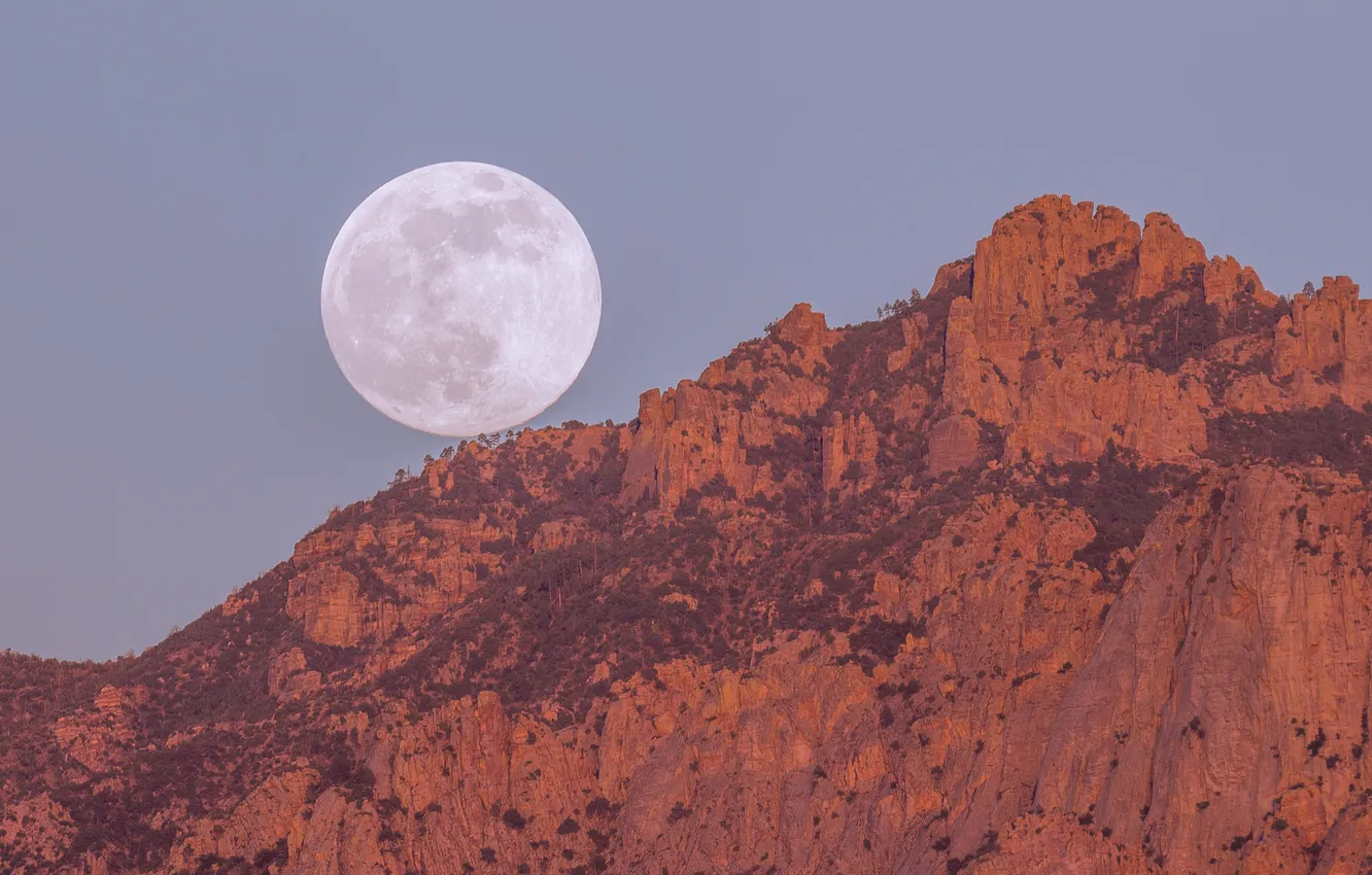 Фото обои горы, луна, полнолуние, Arizona, Tucson