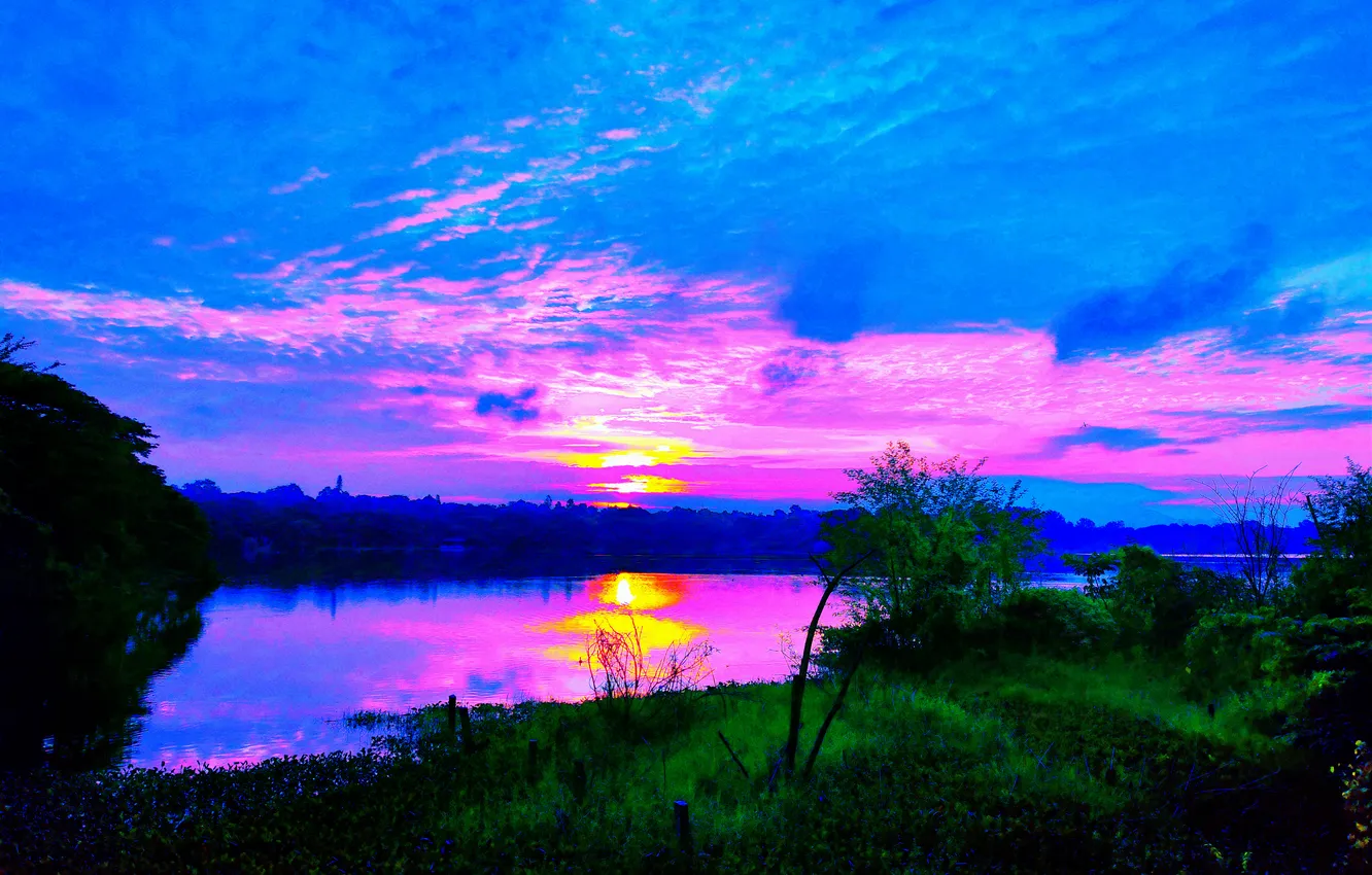 Фото обои Clouds, Sky, Grass, Sun, Water, Sunrise, Dawn, Morning