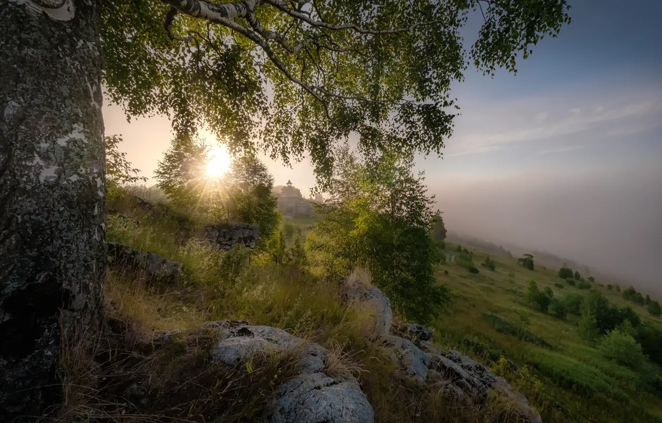 Фото обои трава, пейзаж, природа, камни, дерево, рассвет, утро, склон