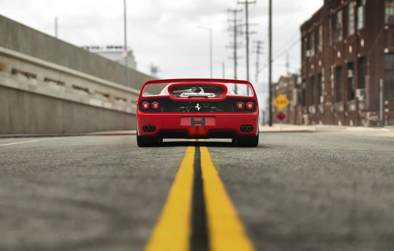 Фото обои Ferrari, Rear view, F50