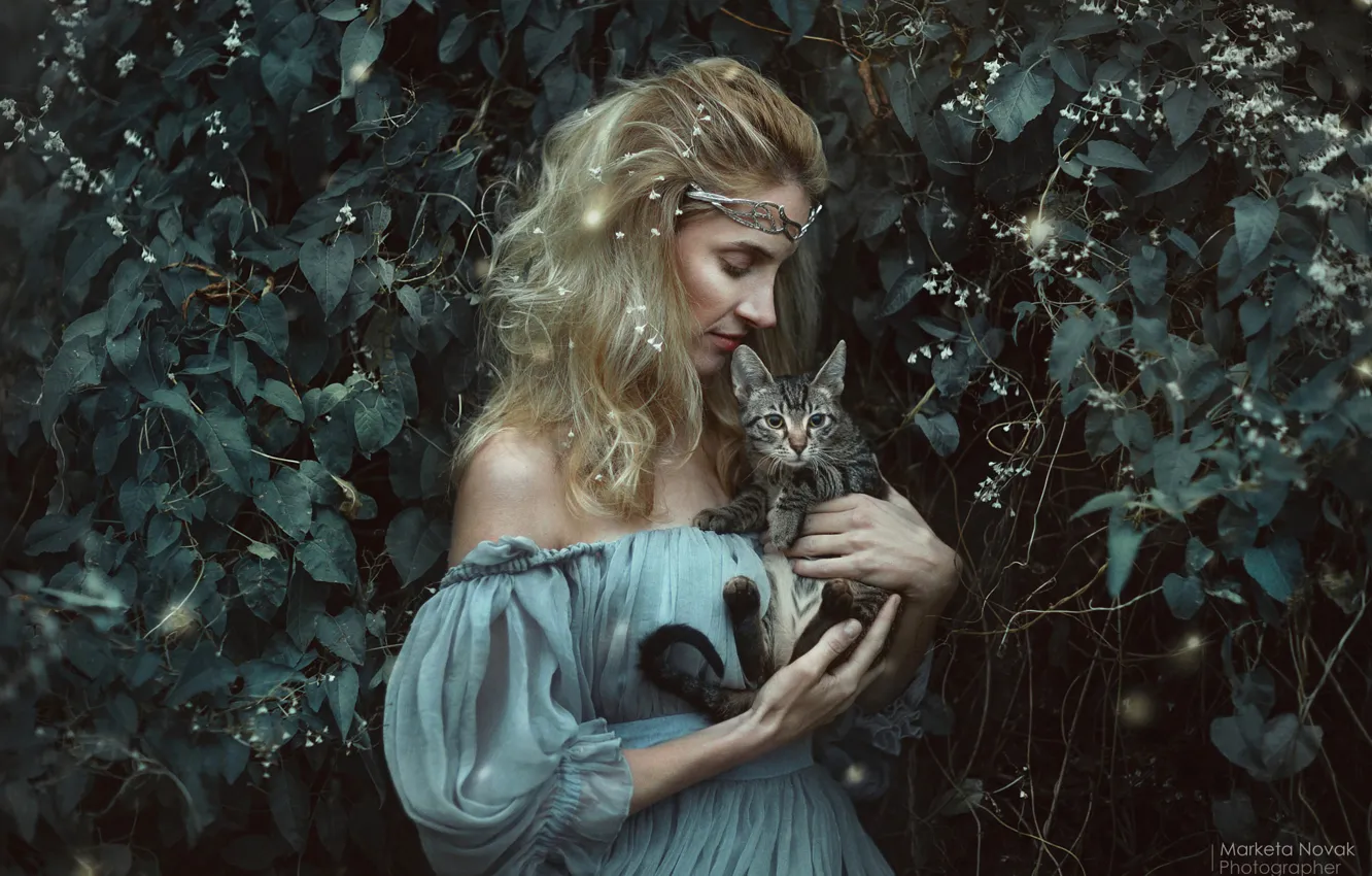 Фото обои кошка, взгляд, девушка, платье, фотограф Marketa Novak, Marie Kruzikova Rencova