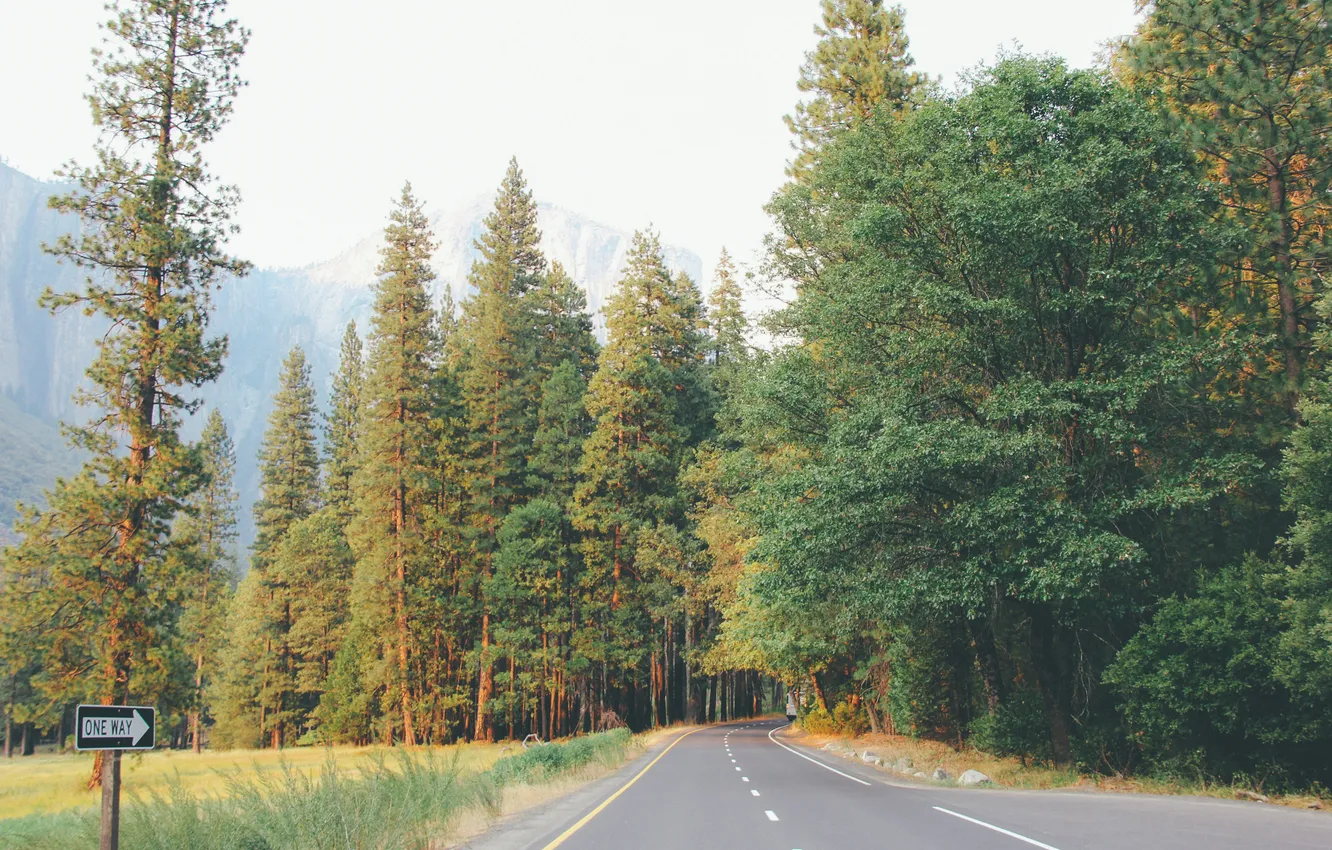 Фото обои дорога, деревья, трасса