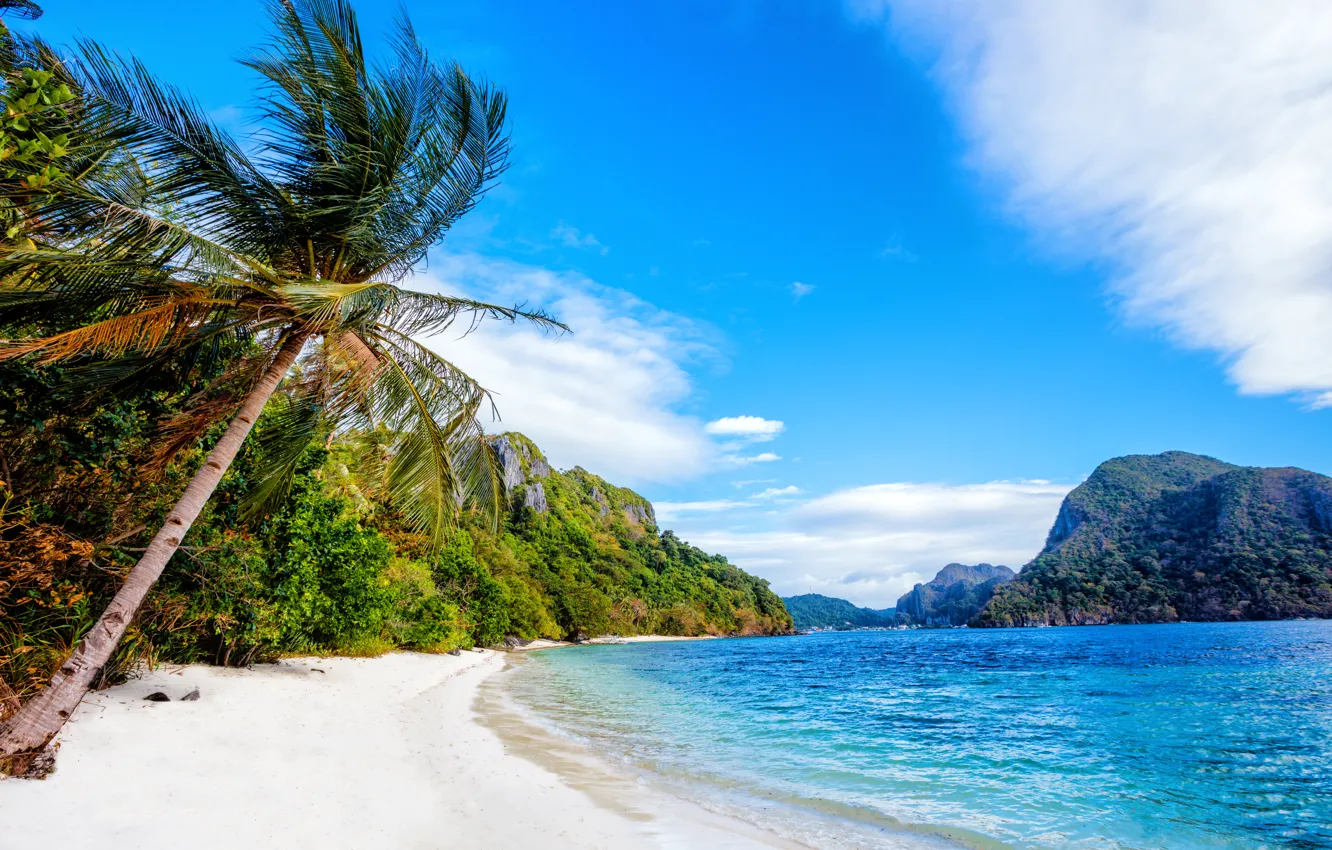 Фото обои песок, море, пляж, деревья, горы, пальма, скалы, побережье