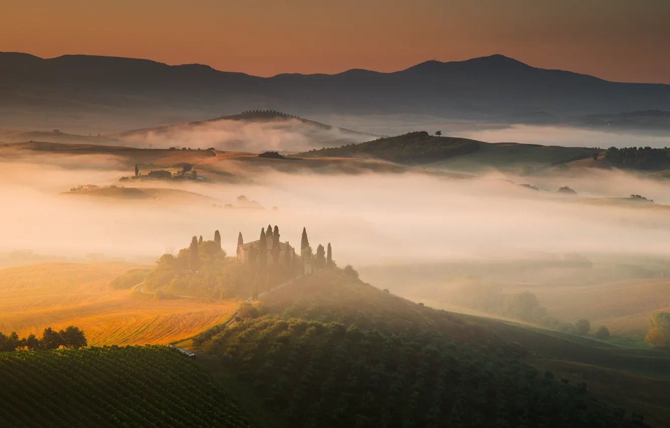 Фото обои туман, восход, холмы, поля, дома, утро, Италия, виноградники