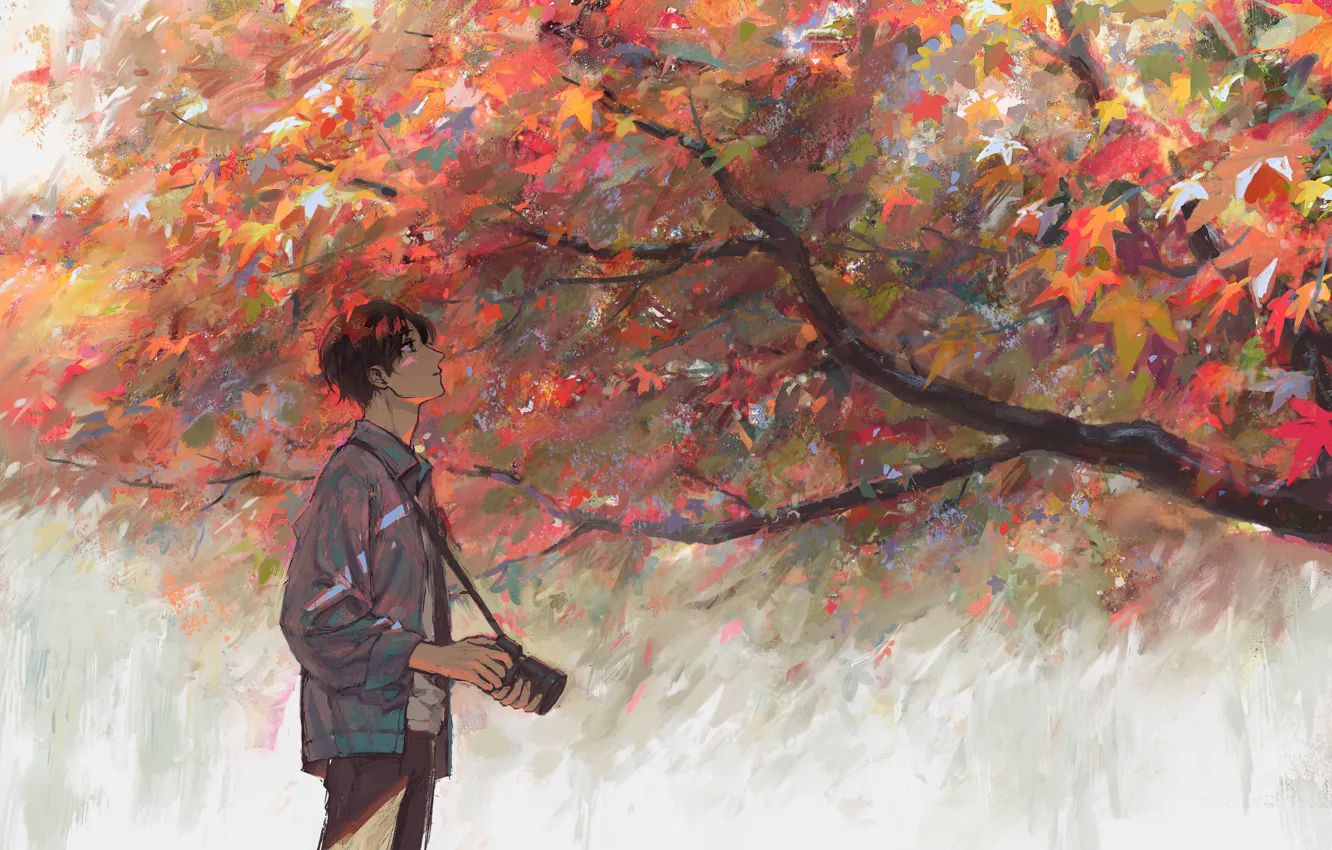 Фото обои осень, дерево, фотоаппарат, парень