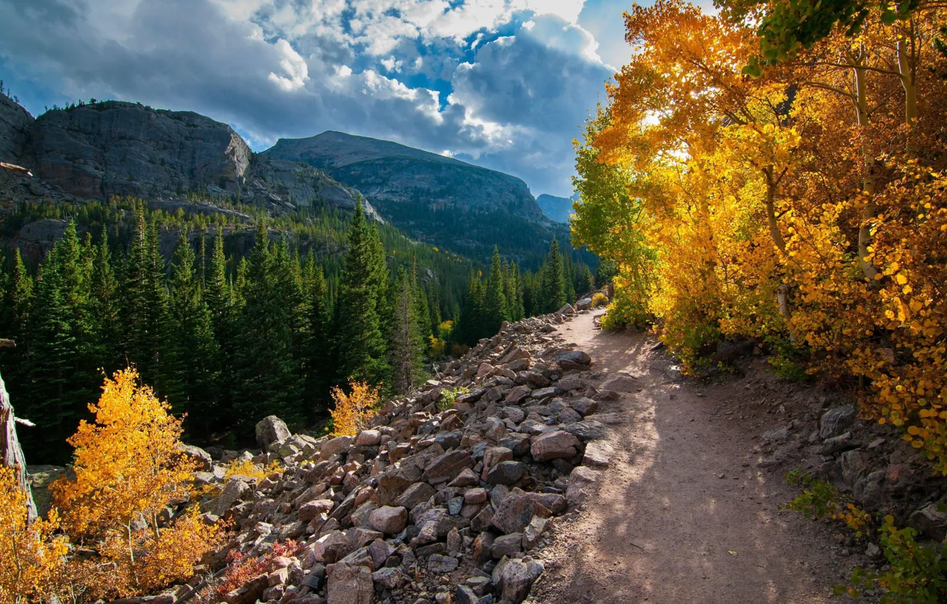 Фото обои осень, пейзаж, горы, природа, дорожка, США, тропинка, леса