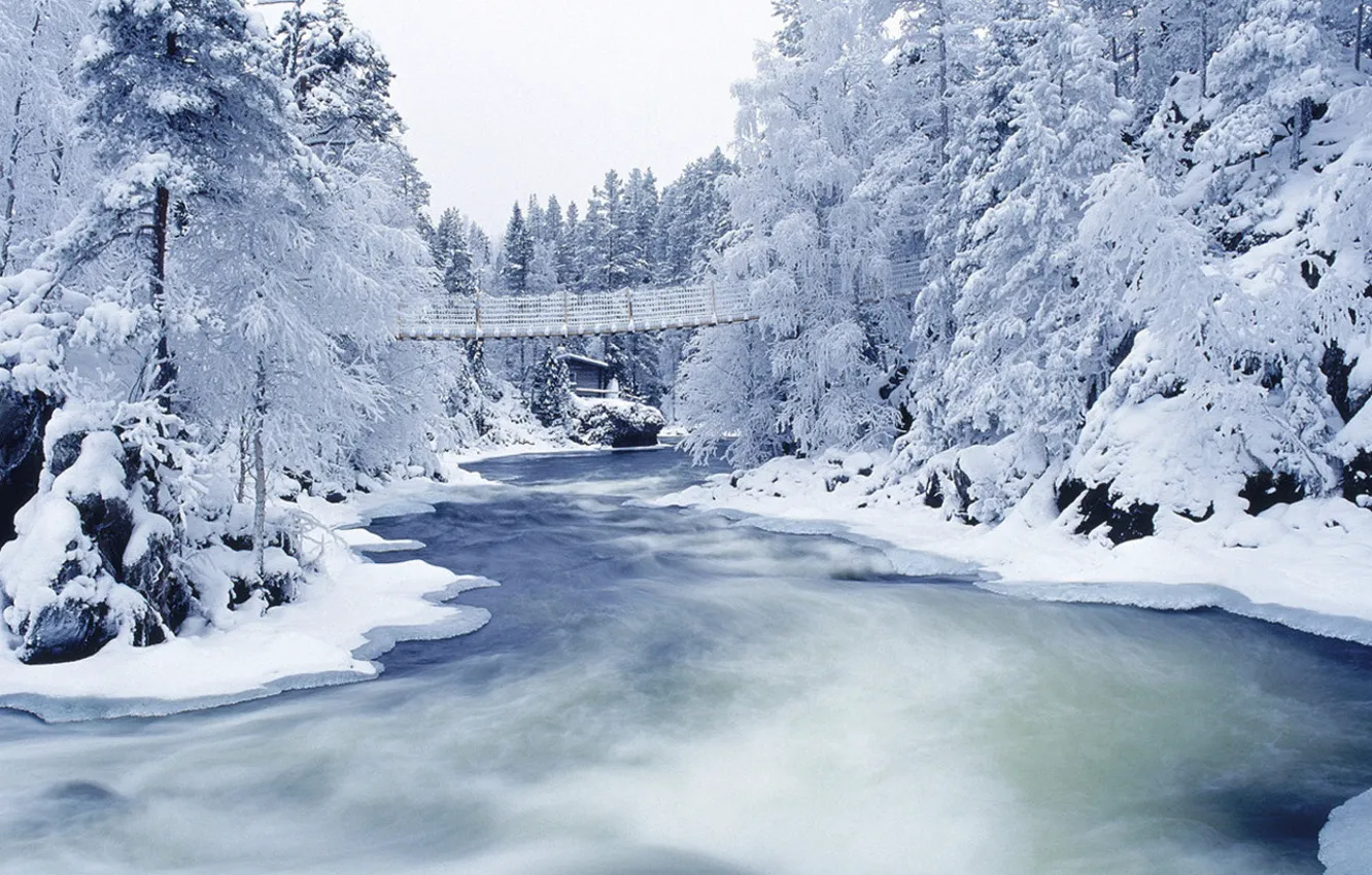 Фото обои зима, иней, снег, деревья, мост, река