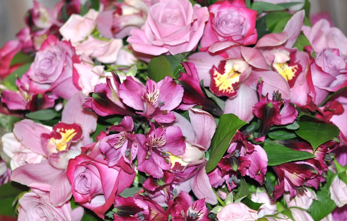 Фото обои цветы, букет, в розовых тонах