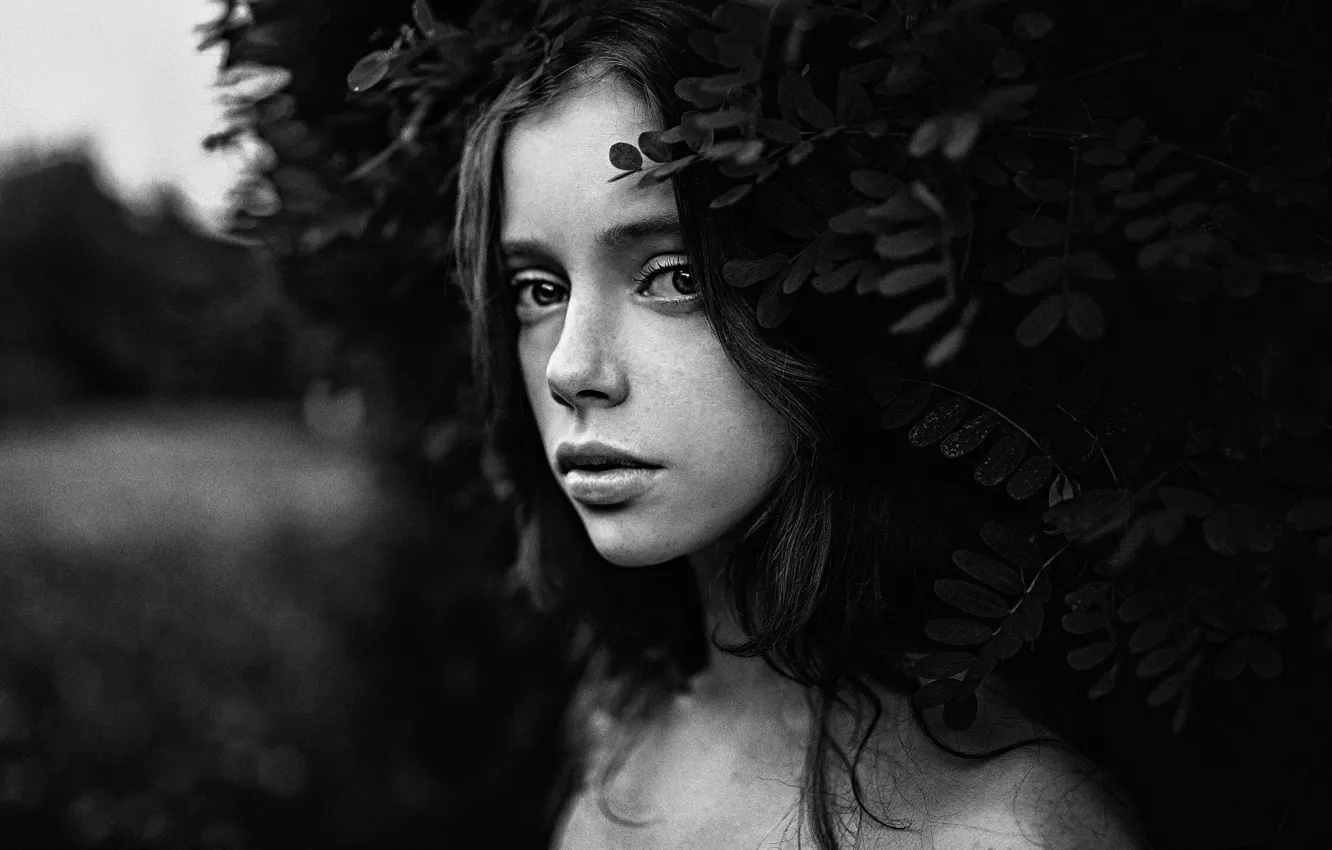 Фото обои взгляд, листья, девушка, лицо, стиль, черно-белый, милая, модель