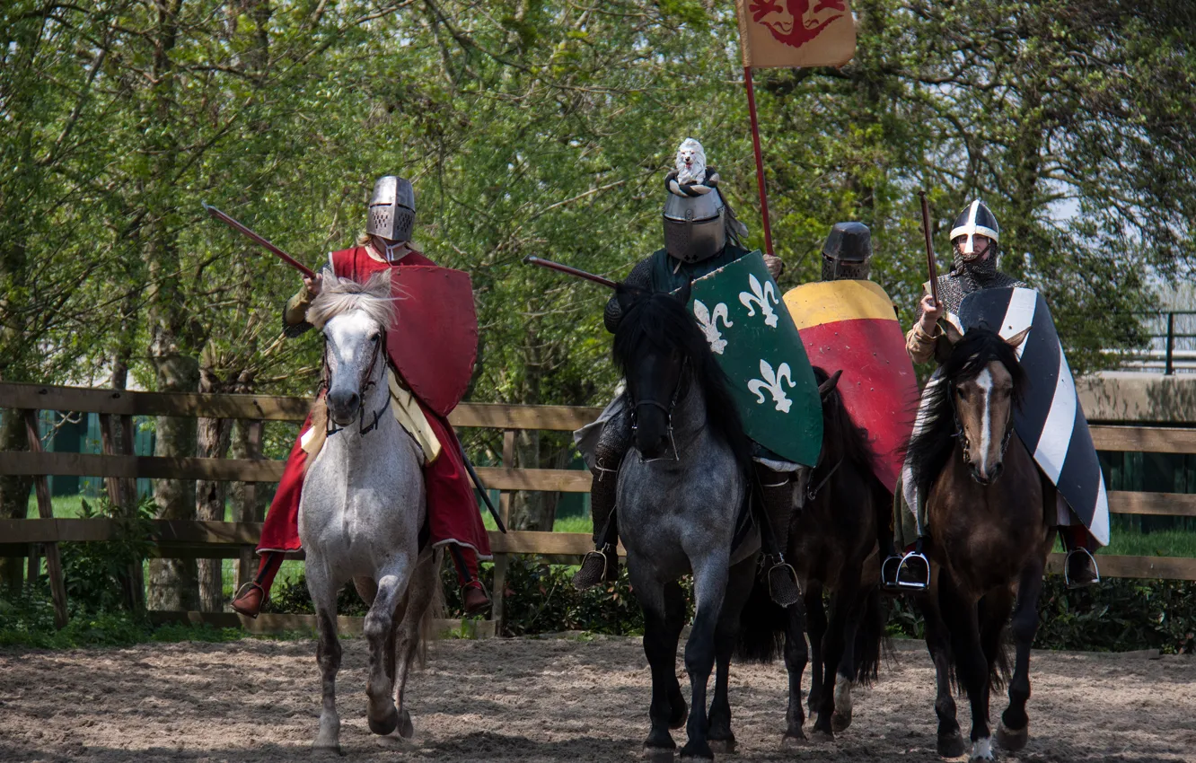 Фото обои кони, доспехи, лошади, воины, рыцари