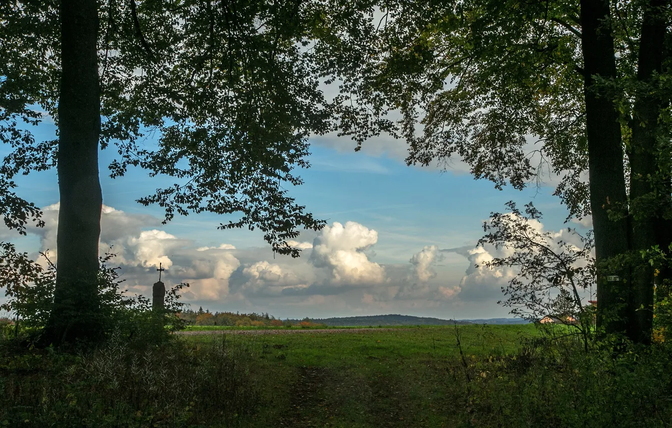Фото обои небо, трава, облака, деревья, ветки, вид, Германия, Бавария