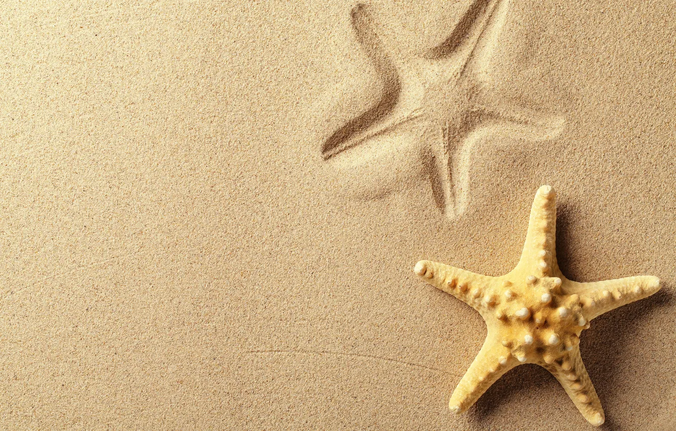 Фото обои песок, след, морская звезда