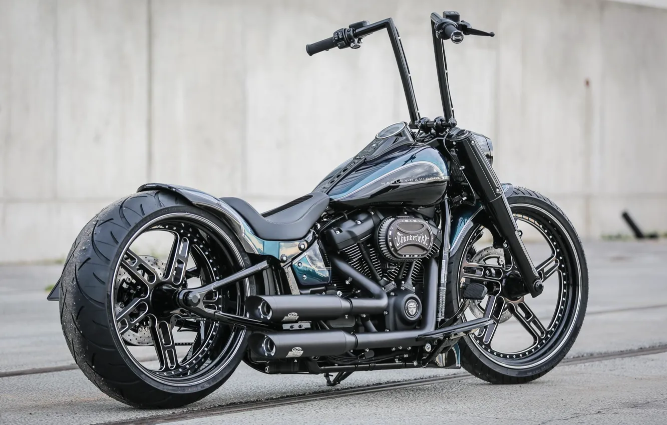 Фото обои Harley-Davidson, Custom, Motorcycle, Thunderbike