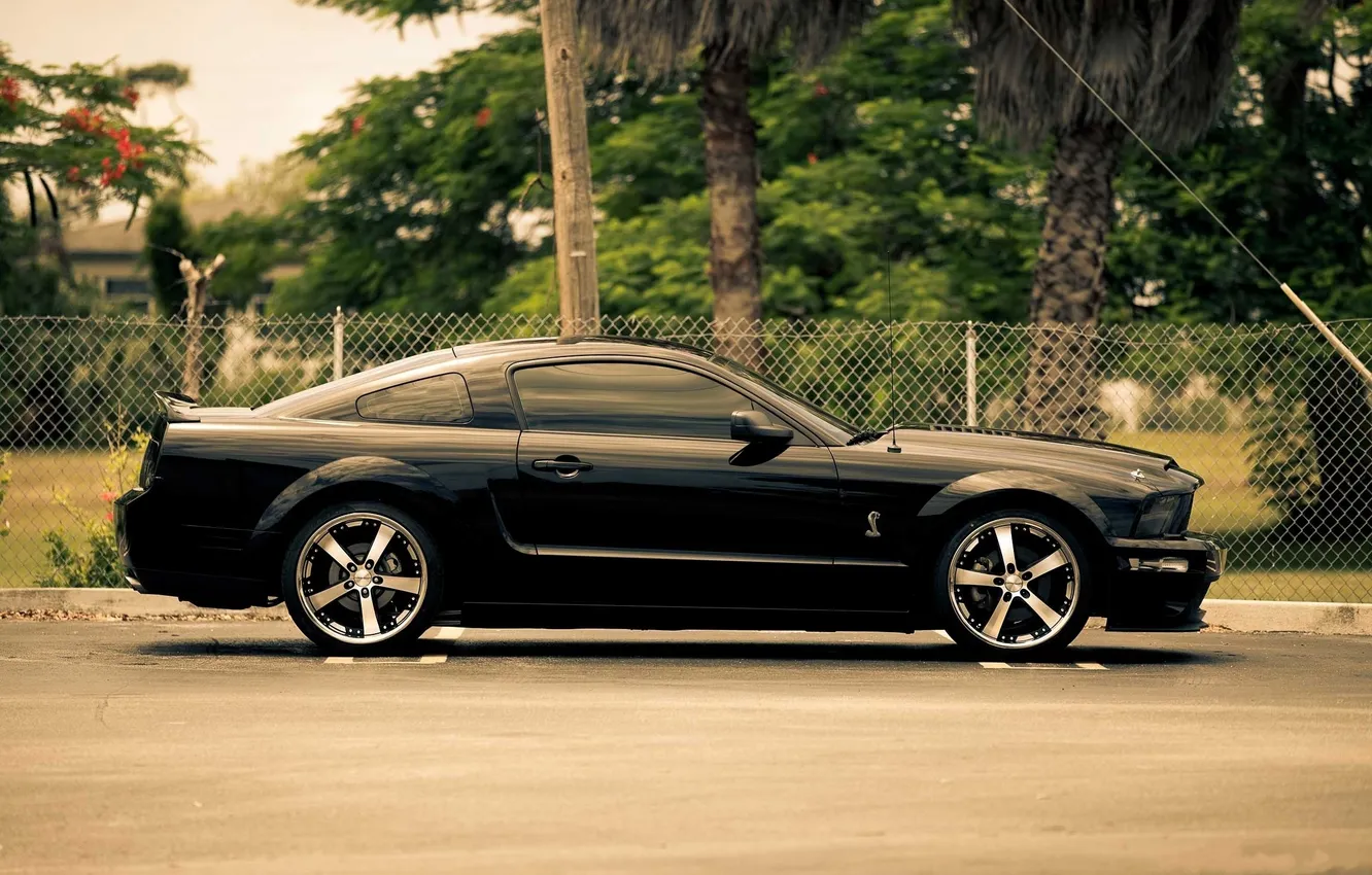 Фото обои Mustang, Ford, black