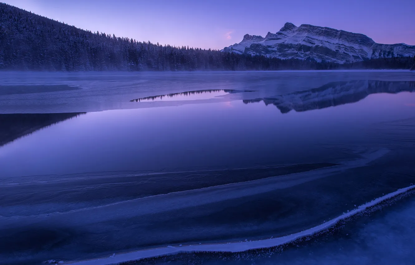 Фото обои ice, forest, winter, mountain, lake, morning
