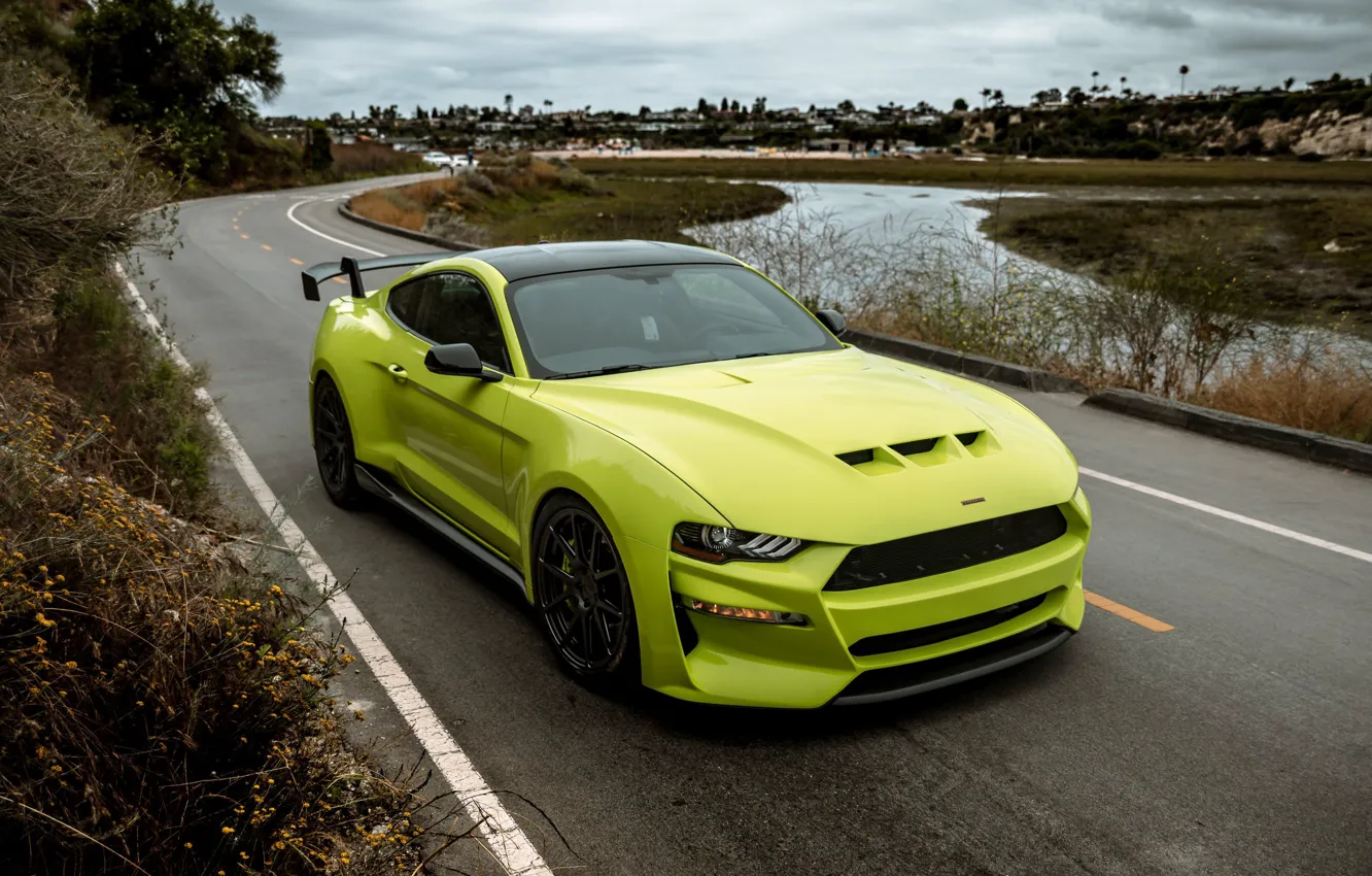 Фото обои Mustang, Ford, tuning, 2019, Revenge GT