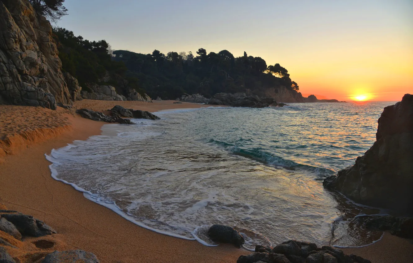 Фото обои песок, море, пляж, небо, солнце, деревья, камни, скалы