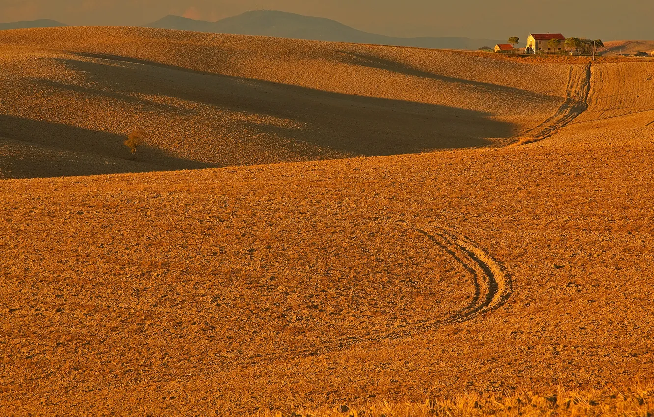 Фото обои поле, осень, холмы, Италия, Тоскана, Орчано-Пизано