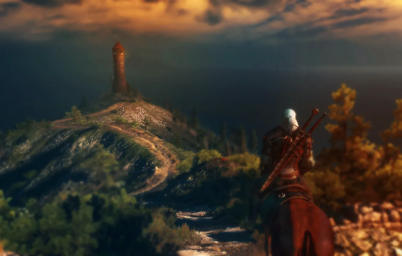 Фото обои game, Witcher, The Witcher 3: Wild Hunt