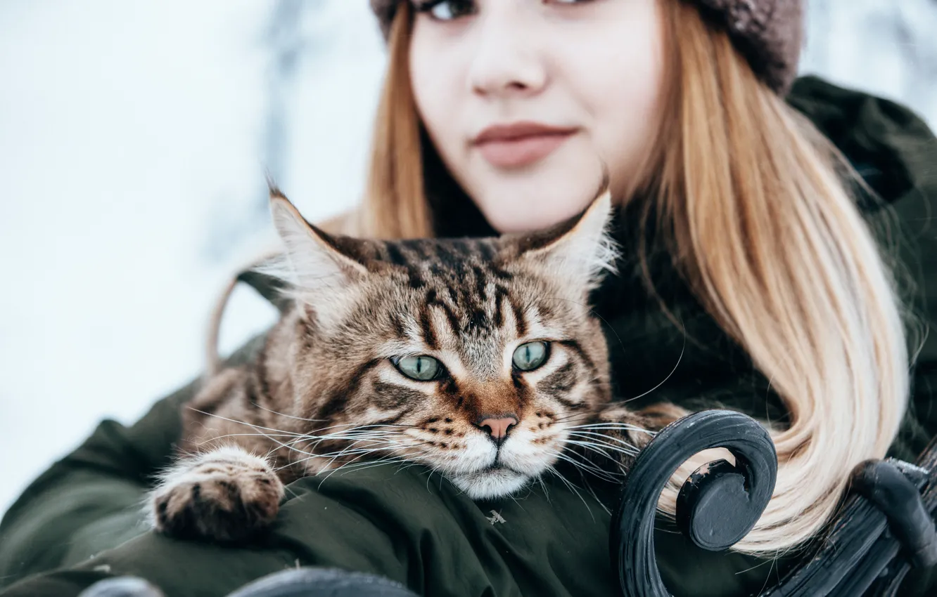 Фото обои кошка, кот, девушка, настроение, мордочка, Анастасия Голубева