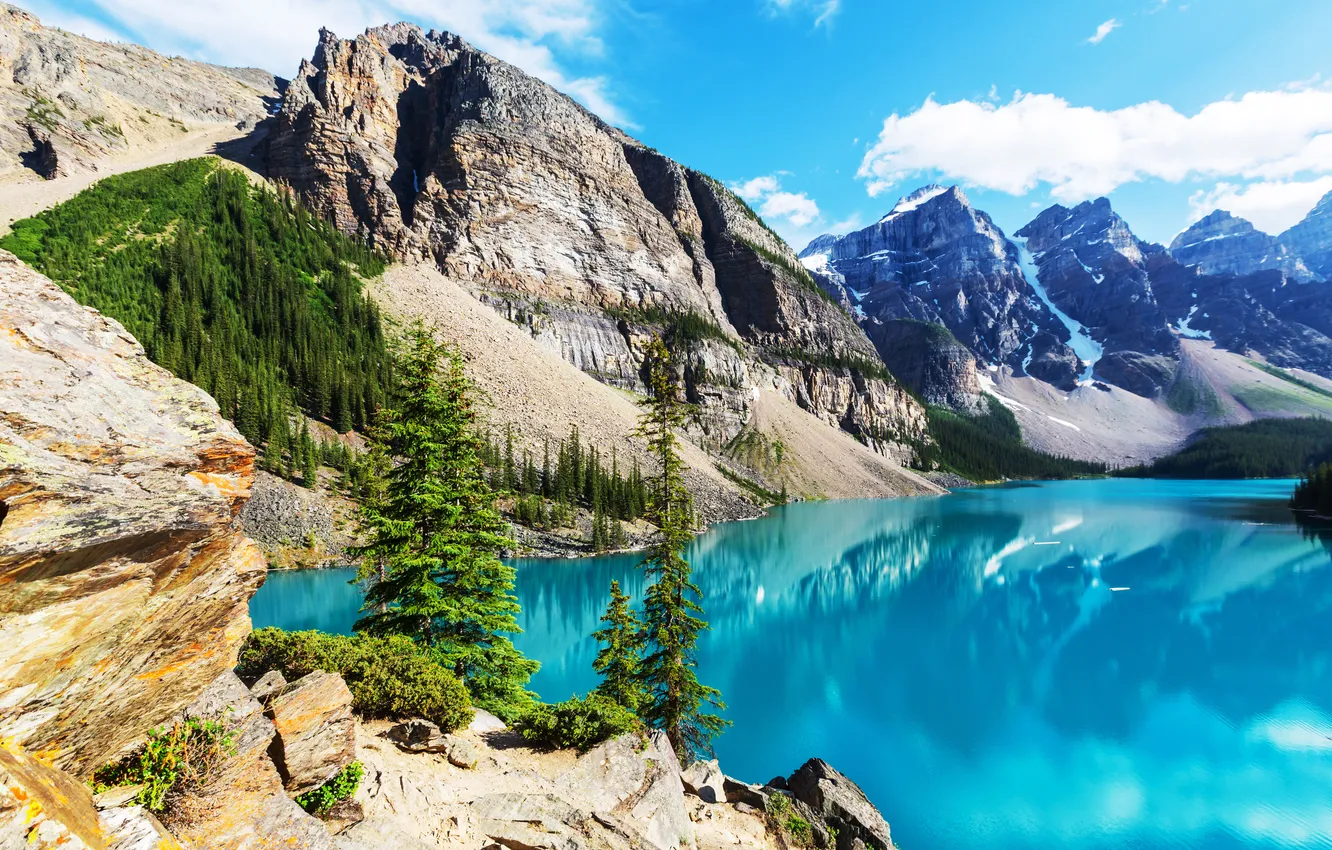 Фото обои лес, озеро, Canada, landscape, lake, Banff National park, Moraine