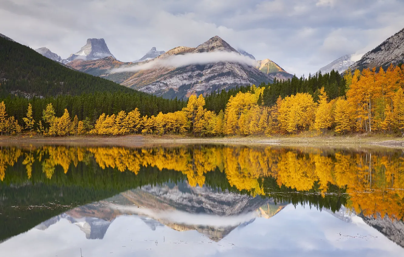 Фото обои осень, деревья, пейзаж, горы, озеро, леса