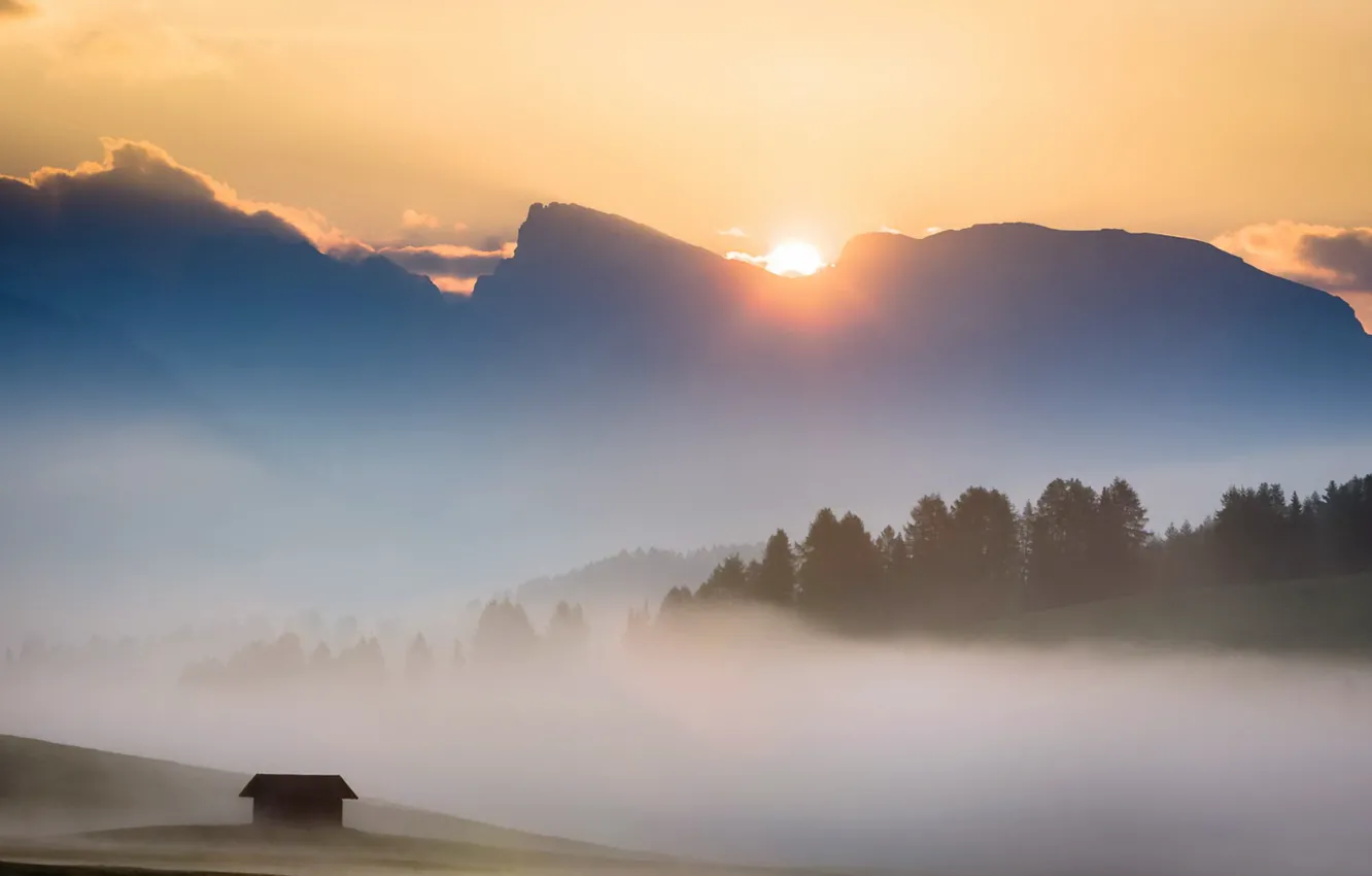Фото обои поле, пейзаж, горы, туман, утро, Italy, Dolomites, Alpe di Siussi