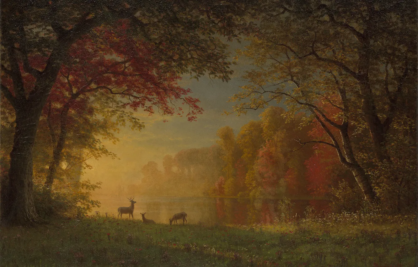 Фото обои лес, пейзаж, природа, арт, олени, Albert Bierstadt, Альберт Бирштадт, Indian Sunset - Deer by a …