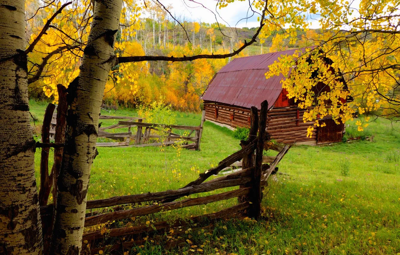 Фото обои дорога, осень, лес, листья, деревья, природа, дом, colors