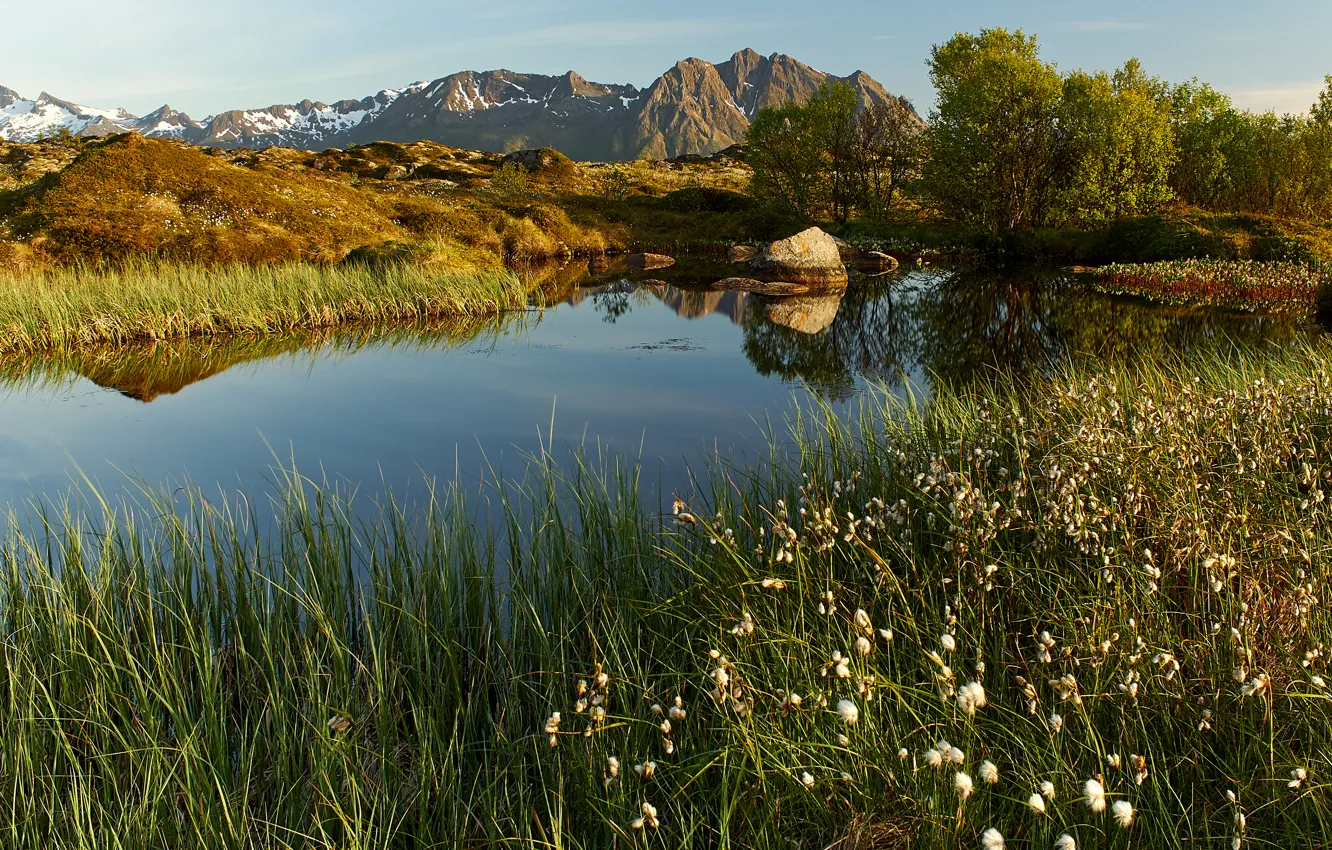 Фото обои горы, озеро, камыши, камни, Норвегия, солнечно, кусты, Lofoten