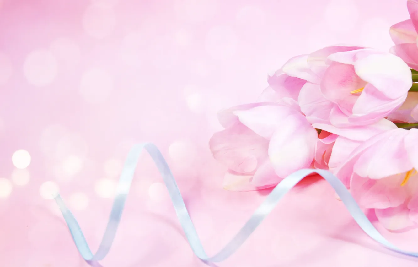 Фото обои фон, розовый, тюльпаны, Morganval