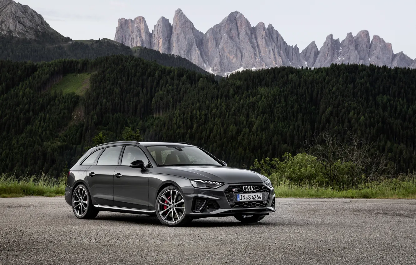 Фото обои лес, горы, Audi, универсал, 2019, A4 Avant, S4 Avant