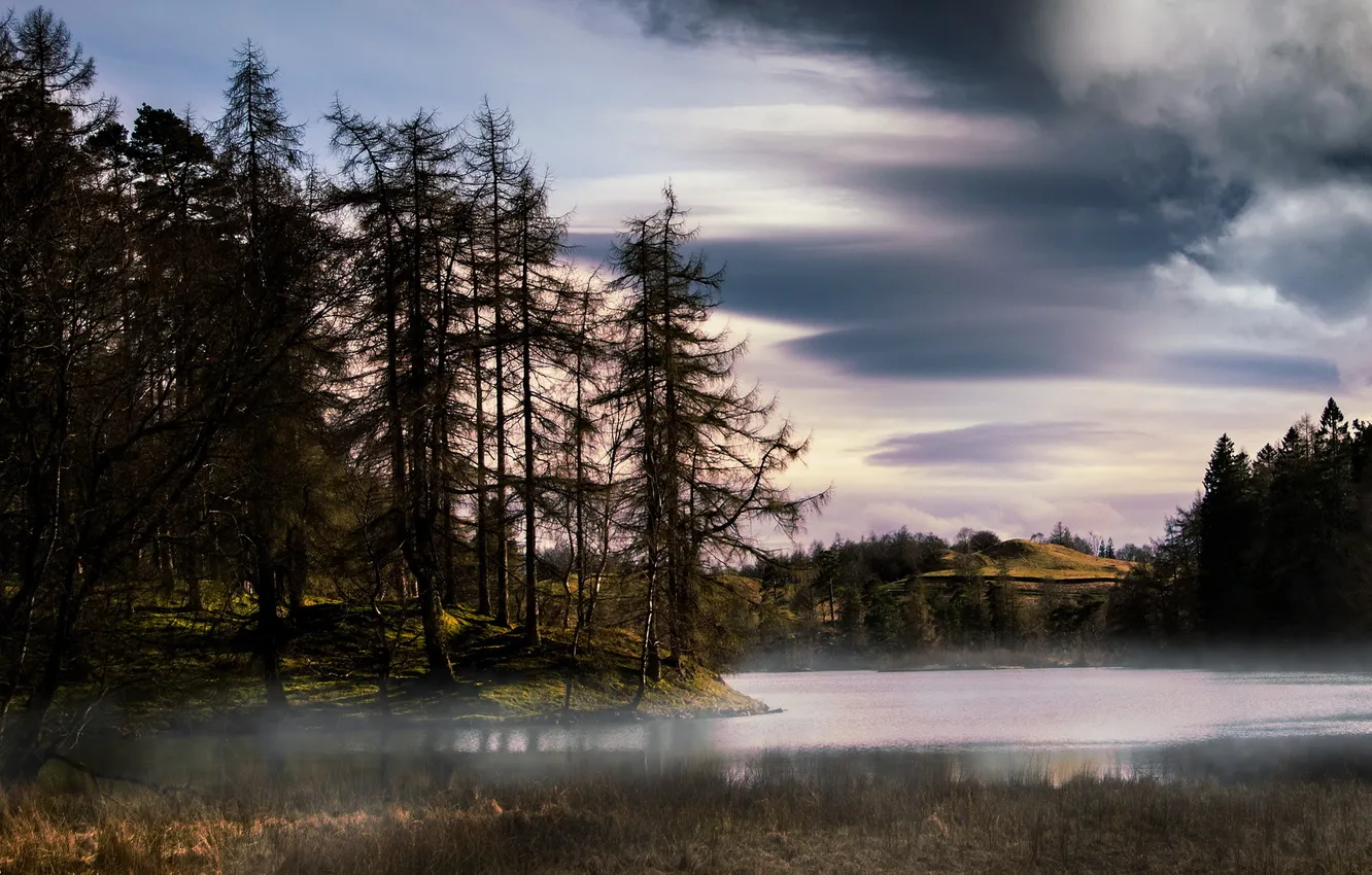 Фото обои лес, пейзаж, туман, озеро