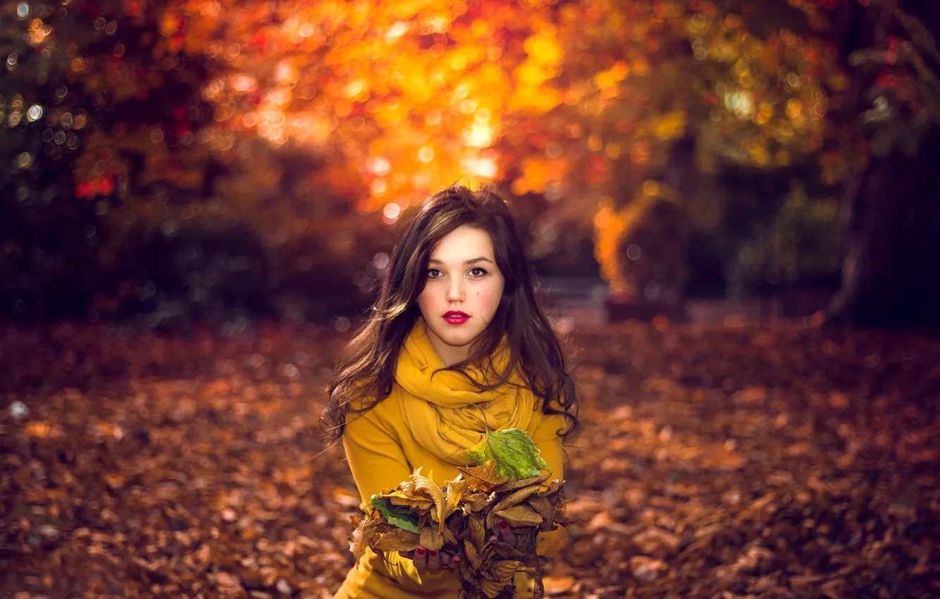 Фото обои листья, девушка, природа, боке, портрет осенний