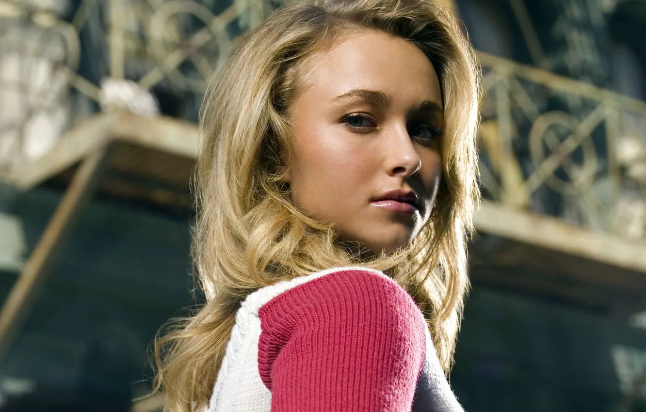 Фото обои Взгляд, Блондинка, Hayden Panettiere, Розовый, Кофточка
