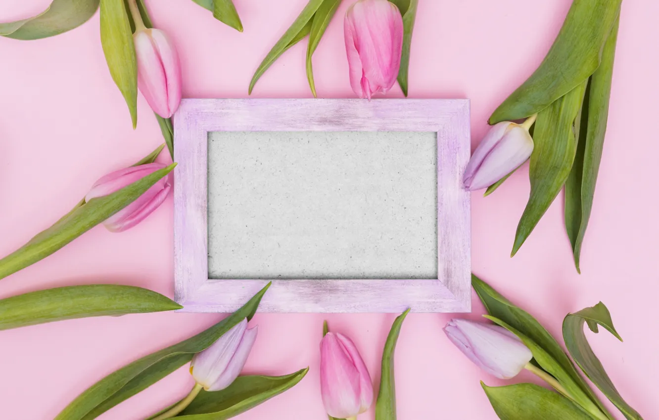 Фото обои цветы, рамка, тюльпаны, розовые, fresh, wood, pink, flowers