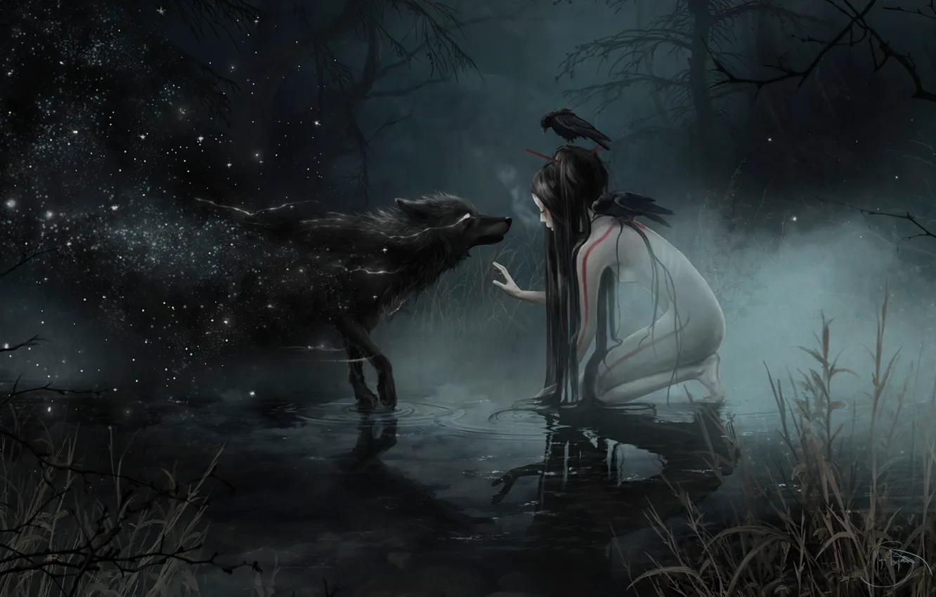 Фото обои болото, волк, ведьма, оборотень, нежить, wolf, witch, темный лес