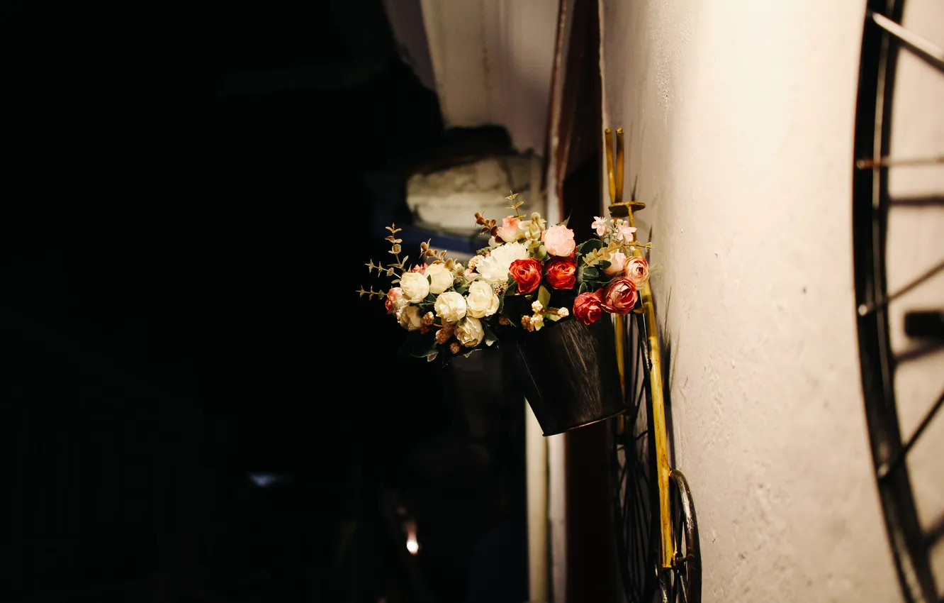 Фото обои цветы, стена, улица, розы, красные, белые