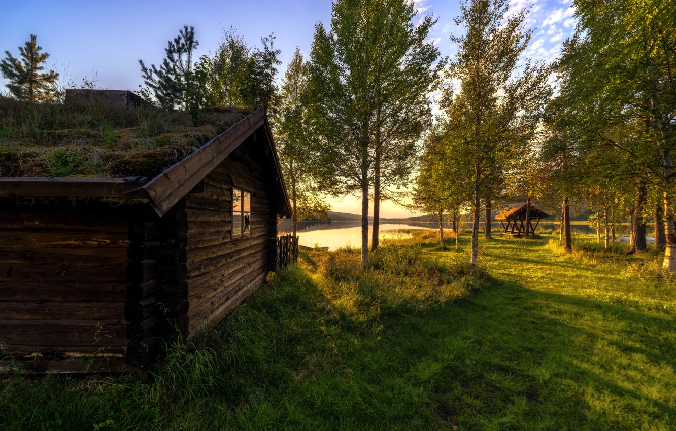 Фото обои деревья, озеро, дом, берег, Норвегия, беседка, изба, Hedmark Fylke