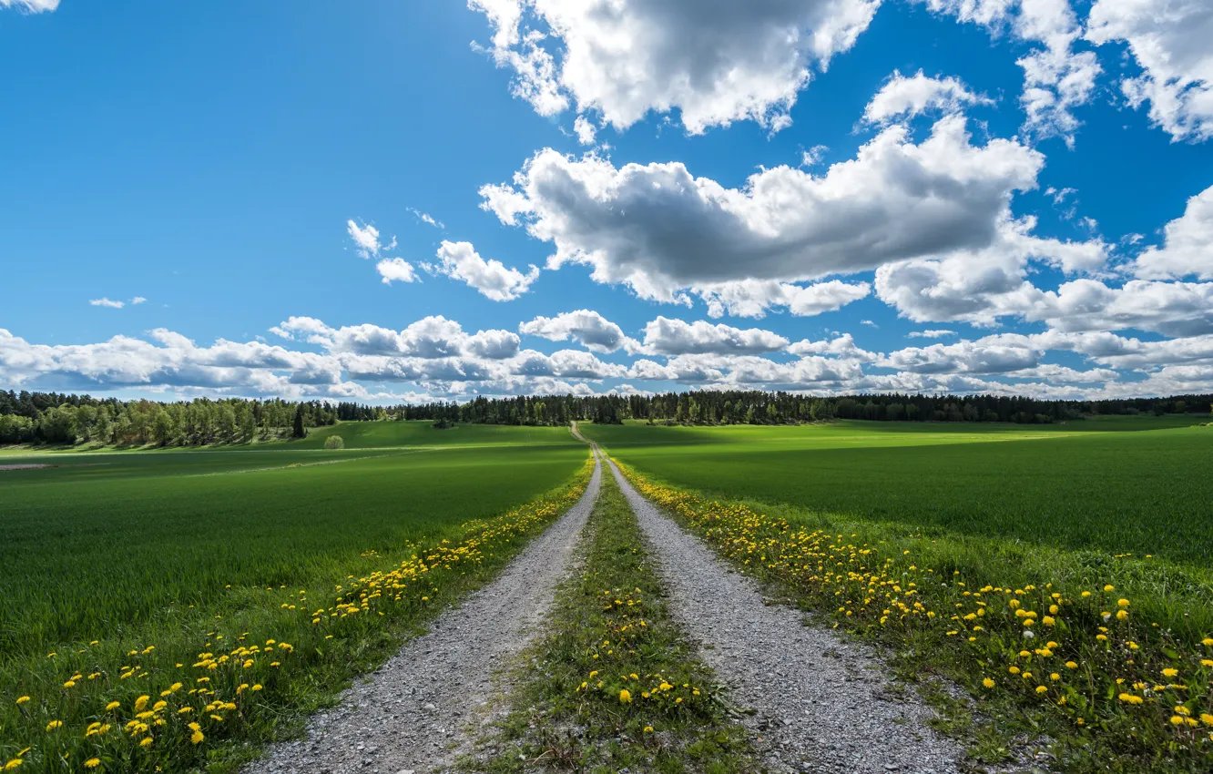 Фото обои дорога, зелень, поле, лес, небо, трава, облака, деревья