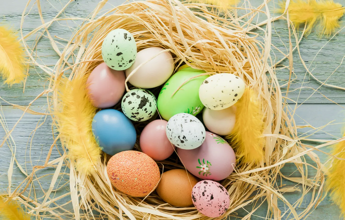 Фото обои яйца, пасха, солома, Праздник, Гнездо, православный праздник