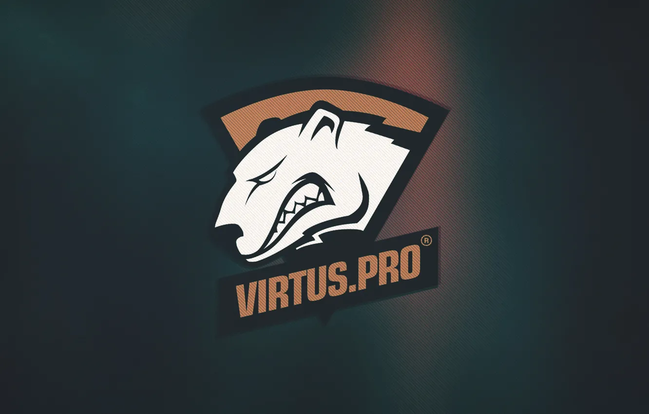 Фото обои gamer, team, cs:go, virtus.pro, pro, pro team, pro gamer