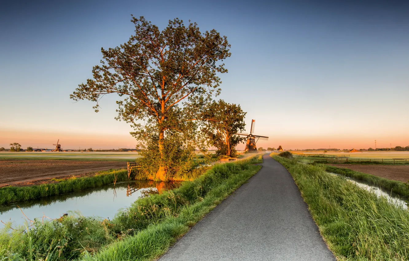 Фото обои дорога, деревья, мельницы, Нидерланды, Alblasserwaard