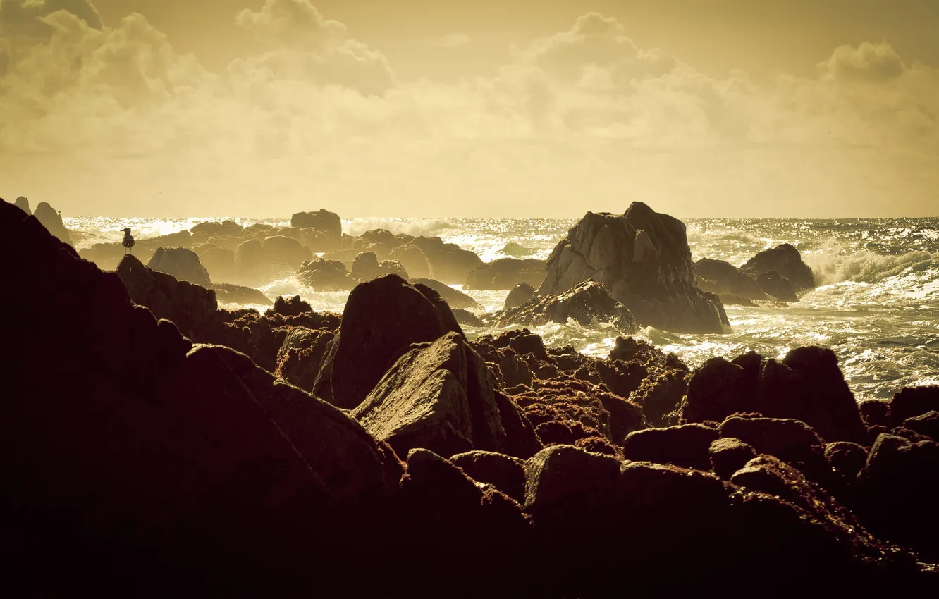 Фото обои море, волны, небо, вода, облака, птицы, скала, камни